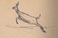Journal sketch of a Whitetail Deer (by Arthur Morgan)