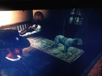 Rufus jack.jpg (593 KB) Rufus inside of Jack's Bedroom in Red Dead Redemption