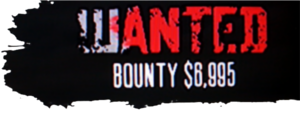 Wantedlevel.png