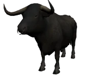 SuperBull3DModel.png (469 KB) Super Bull