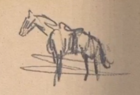 Journal sketch of a Tennessee Walker (by Arthur Morgan)