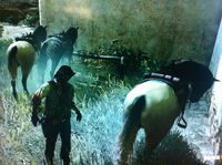 A strange glitch in Undead Nightmare.