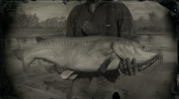 Legendary Channel Catfish RDR2