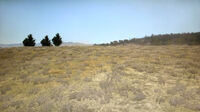 The rolling grasslands of the Great Plains.