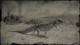 IguanaRDR2