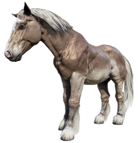 Belgian Draft Horse | Red Dead Wiki | Fandom