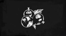 Blackcurrant 06