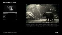 Black Bear Profile RDR 2