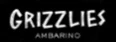 Grizzlies Logo