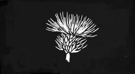 Burdock-Root-drawing