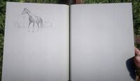 Arthur's sketch of the Hungarian Half-bred in RDR2