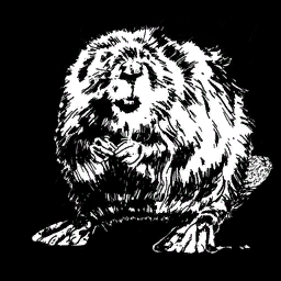 Beaver Fur | Dead Wiki Fandom