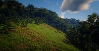 Jungles in Guarma 6.png (3.7 MB) Jungles in Guarma 6