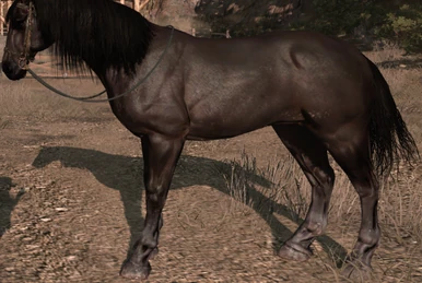 French Dress Shirt - Red Dead Redemption 2 Wiki