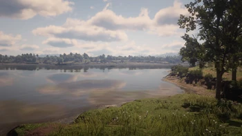Lannahechee River | Red Dead Wiki | Fandom