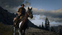 Arthur and his horse on a mountain trail