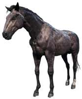 The Dapple Rose Gray Bay Kentucky Saddler with a broken model