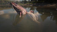 The unused model for the Legendary Channel Catfish in water, note the broken skeleton fragment