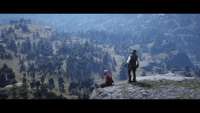 RDR2 POI 24 Meditating Monk 06
