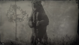 GrizzlyRDR2