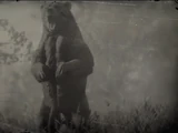 Гризли (RDR2)