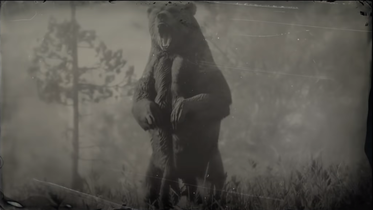 Black Bear Location and Perfect Pelt Hunting Guide - Red Dead