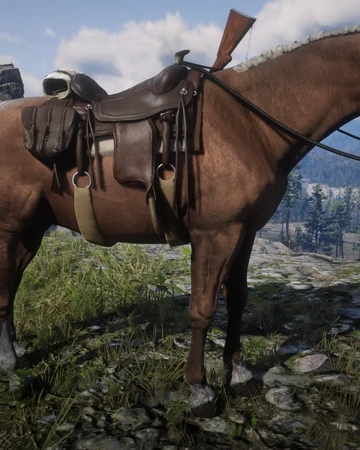 Hungarian Half Bred Rdr 2 Red Dead Wiki Fandom