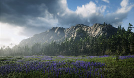 MountShann