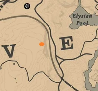 The location of Susan Grimshaw's grave