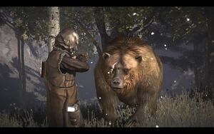 E6