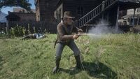 Uncle Revolver RDR2