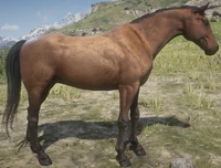 Morgan | Red Dead Wiki | Fandom