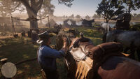 Arthur grooming his horse