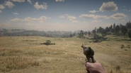 Aiming