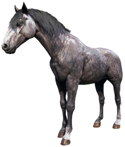 rose gray horse
