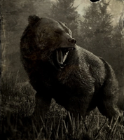 Ikona w Kompendium przedstawiająca niedźwiedzia grizzly