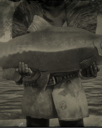 Sockeye Salmon Red Dead Wiki Fandom Sockeye salmon is a free transparent png image carefully selected by pngkey.com. sockeye salmon red dead wiki fandom