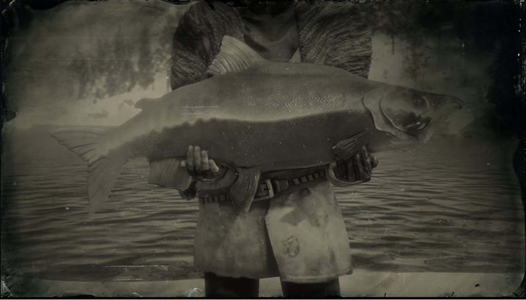 Sockeye Salmon, Red Dead Wiki