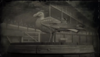 GullRDR2