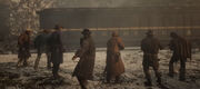 Train Robbery