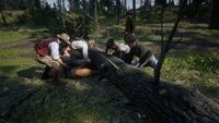 Rdr 2 деревообрабатывающая компания appleseed