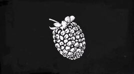 Blackberry-drawing