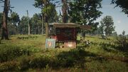 RDO-Madam in Bluewater Marsh