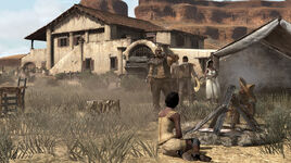 Rdr agave viejo00