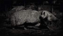 BadgerRDR2