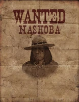 Nashoba.png (220 kB)