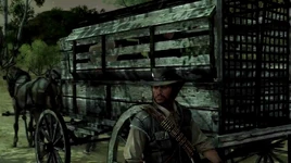 Rdr mexican wagon train