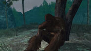 Rdr weeping sasquatch