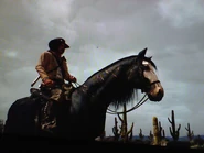 Tumblr lga1wbF4oo1qh1x78o1 500.jpg (35 KB)