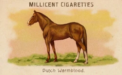 Horses Card Set | Red Dead Wiki